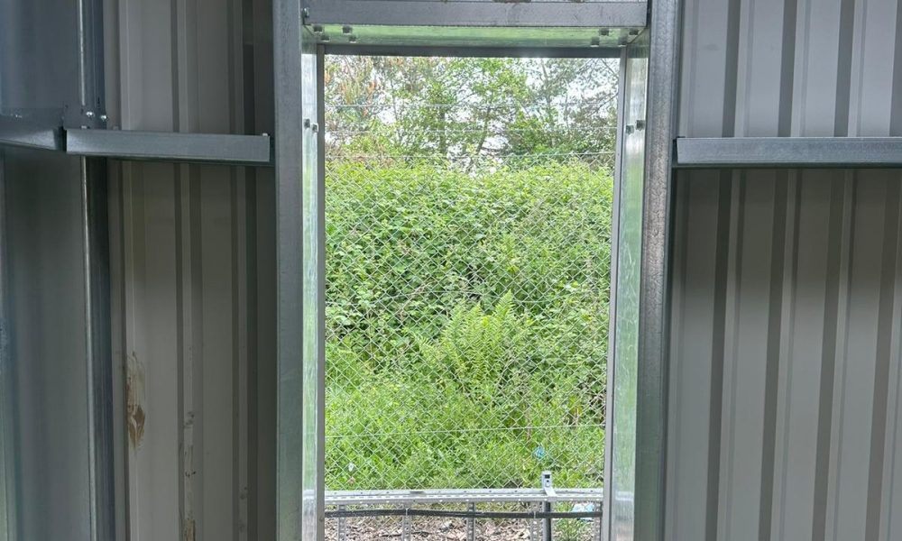 WhatsApp Image 2025-10-29 at 14.11.22